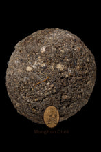 Load image into Gallery viewer, LookOm Prai 59 Ajahn Pleang Boon Yeun - MKCamulet