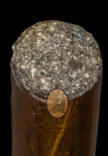 Load image into Gallery viewer, Takrut Nang Ngoo Maha Setthi 2529 (Long Version) - MKCamulet