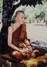 将图片加载到图库查看器,Phra Nak Geow, Fang Patthawee That - MKCamulet