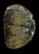 Load image into Gallery viewer, Luang Phor Ngern Roon Bpeun Tek 2528 - MKCamulet