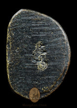 Load image into Gallery viewer, Luang Phor Ngern 2536 Roon Wat Dai Lang - MKCamulet