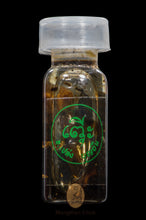 Load image into Gallery viewer, Rukyom 2541 (Wat Pho) - MKCamulet