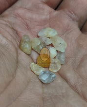 将图片加载到图库查看器,Real Patthawee That - MKCamulet