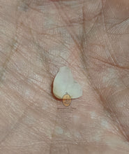 将图片加载到图库查看器,Real Patthawee That - MKCamulet