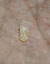 将图片加载到图库查看器,Real Patthawee That - MKCamulet