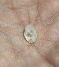 将图片加载到图库查看器,Real Patthawee That - MKCamulet