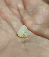 将图片加载到图库查看器,Real Patthawee That - MKCamulet