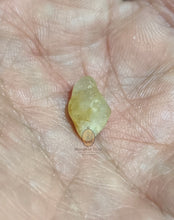 将图片加载到图库查看器,Real Patthawee That - MKCamulet