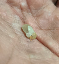 将图片加载到图库查看器,Real Patthawee That - MKCamulet