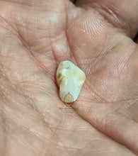 将图片加载到图库查看器,Real Patthawee That - MKCamulet