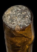 Load image into Gallery viewer, (Takrut Nang Ngoo Maha Setthi 2529 (Mid Length) - MKCamulet