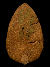 Load image into Gallery viewer, Mae Nang Phim Pha 2550 (Special Full Herbs) - MKCamulet