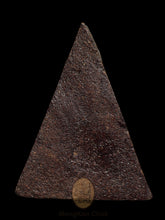 Load image into Gallery viewer, Nang Phaya Yuk Dton 251x (Mid Size) - MKCamulet