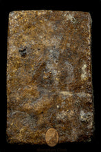 Load image into Gallery viewer, Somdej Che Num Muon (Soaked Holy Water) 254x - MKCamulet