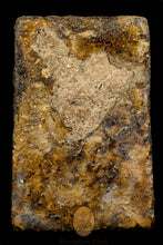 Load image into Gallery viewer, Somdej Che Num Muon (Soaked Holy Water) 254x - MKCamulet