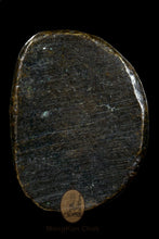 Load image into Gallery viewer, Roon Bpeun Tek 2528 - MKCamulet