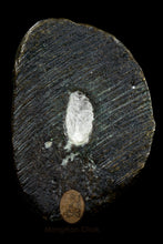 Load image into Gallery viewer, Roon Bpeun Tek 2528 (A) - MKCamulet