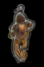 Load image into Gallery viewer, Jing Jok Gala Dta Diaw (Rare) - MKCamulet