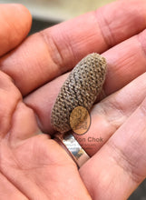 将图片加载到图库查看器,Takrut Kuu Chiwit (Num Liab) 252x - MKCamulet