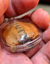 Load image into Gallery viewer, Mae Nang Phim Pha 2551 (Square) - MKCamulet