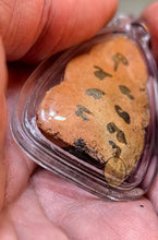 Load image into Gallery viewer, Mae Nang Phim Pha 2551 (St Seiya) - MKCamulet