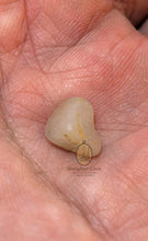 将图片加载到图库查看器,Real Patthawee That - MKCamulet