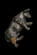 Load image into Gallery viewer, Wua Thanu 254x - MKCamulet