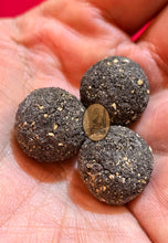 Load image into Gallery viewer, LookOm Prai Ajahn Pleang (December Specials)