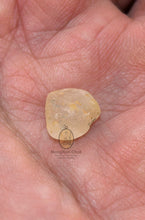 将图片加载到图库查看器,Real Patthawee That - MKCamulet