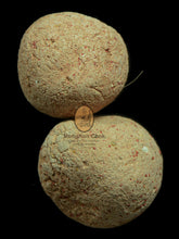 Load image into Gallery viewer, LookOm Ittijey - MKCamulet