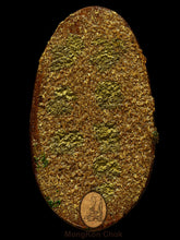 Load image into Gallery viewer, Mae Nang Phim Pha - MKCamulet