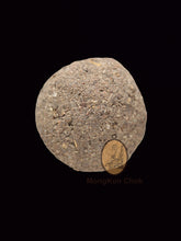 Load image into Gallery viewer, Look Om Salika Thip Suwan - MKCamulet