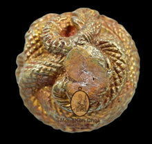 Load image into Gallery viewer, Phaya Nak Geow 2545 - MKCamulet