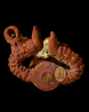 Load image into Gallery viewer, Hoon Phayon Phor Neur Horm 2559 - MKCamulet