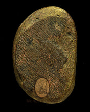 Load image into Gallery viewer, Roon Bpeun Tek 2528 - MKCamulet