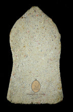 Load image into Gallery viewer, Phra Yok Khun Pon - MKCamulet