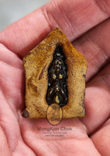 Load image into Gallery viewer, Khun Paen Um Guman Lang Palak Nang Kuuan 254x - MKCamulet