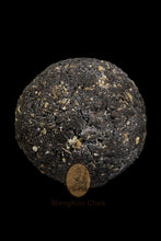 Load image into Gallery viewer, LookOm Prai 59 Ajahn Pleang - MKCamulet
