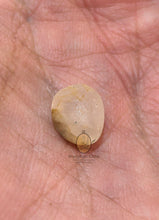 将图片加载到图库查看器，Real Patthawee That - MKCamulet
