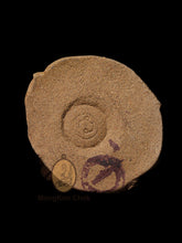 Load image into Gallery viewer, Mae Takhien Thong 2540 (S) - MKCamulet
