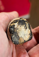 Load image into Gallery viewer, Gumanthong Kote Hien Maha Heng
