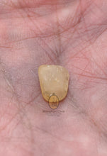 将图片加载到图库查看器，Real Patthawee That - MKCamulet
