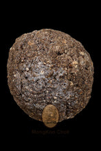 Load image into Gallery viewer, LookOm Prai Ajahn Pleang
